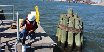 Monitoring Water Quality Interactions with Multiparameter Sondes